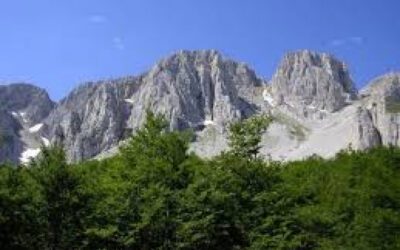 L’impegno per la tutela e il ripristino della biodiversità in Abruzzo all’indomani della storica approvazione da parte del Parlamento Europeo della “Nature Restoration Law”