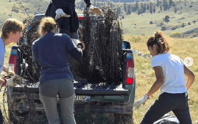 Rimozione di 400 metri di filo spinato su Monte Mitra