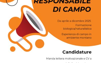 Bando per il Responsabile delle Attività di Campo